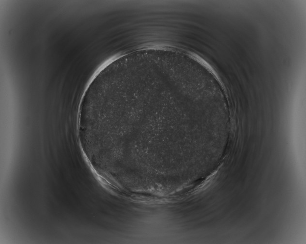 X0000082941050200703020123