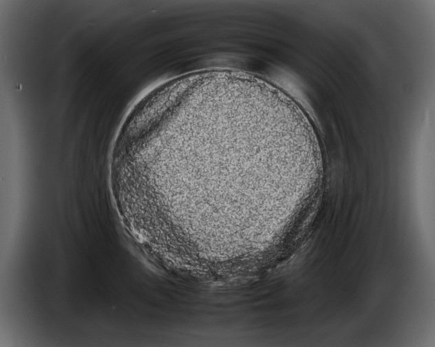 X0000082941051200703020123