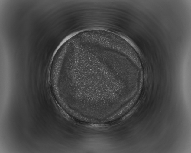 X0000082941052200703020123