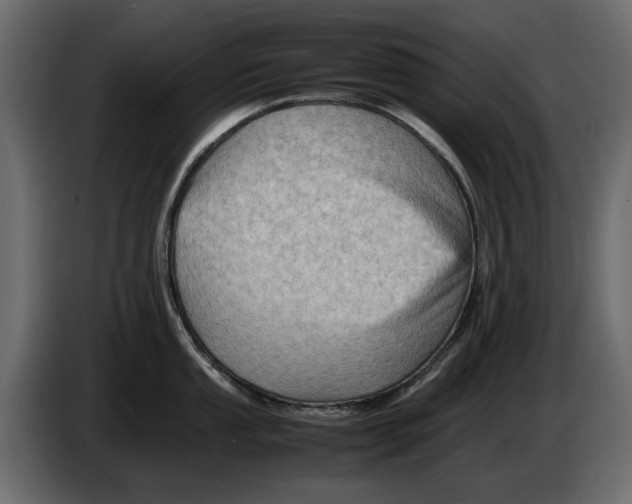 X0000082941053200703020123