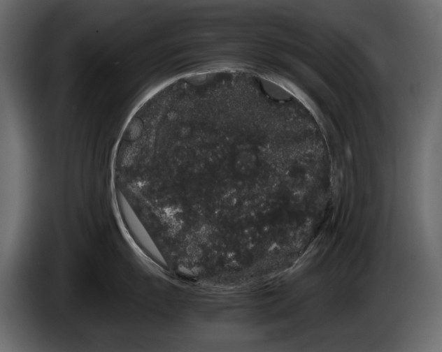 X0000082941055200703020123