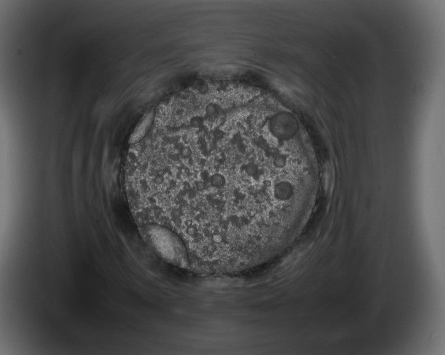 X0000082941059200703020122