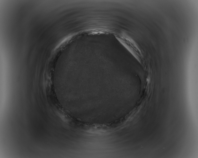 X0000082941064200703020122