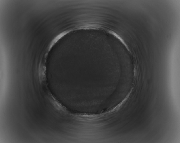 X0000082941066200703020122