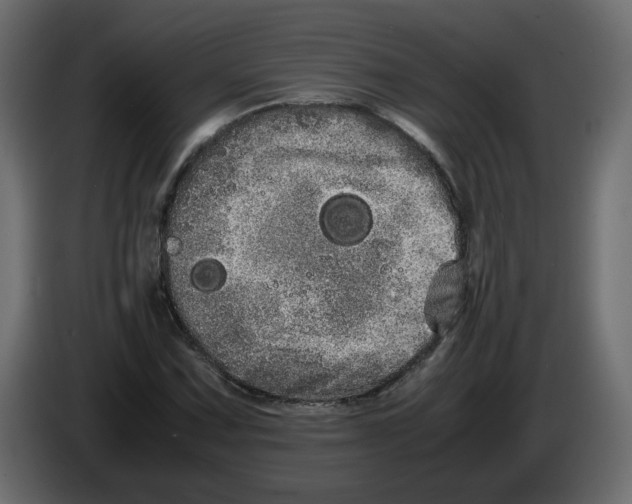 X0000082941067200703020122