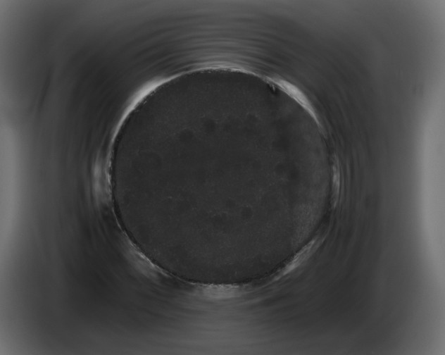 X0000082941068200703020122