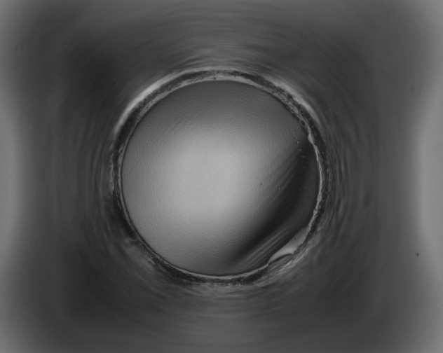 X0000082941069200703020122