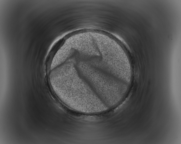 X0000082941070200703020122