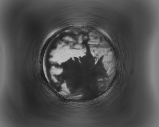 X0000082941071200703020122