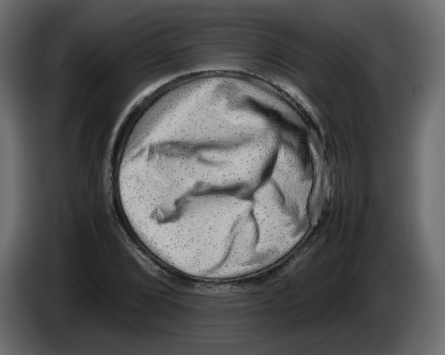 X0000082941072200703020122