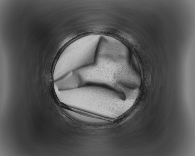 X0000082941073200703020122