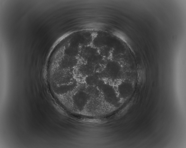 X0000082941074200703020122