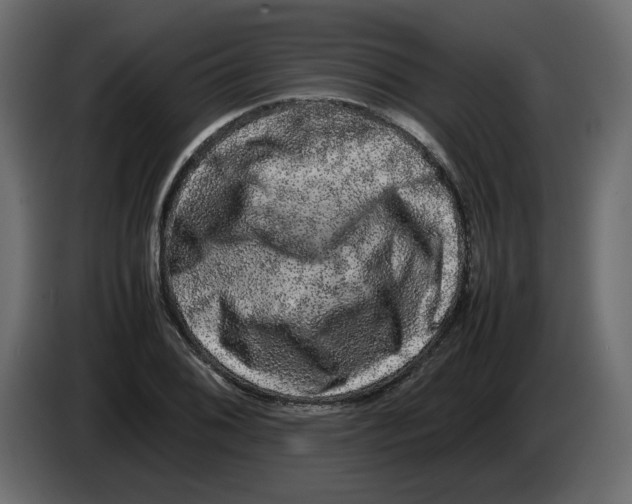 X0000082941076200703020122