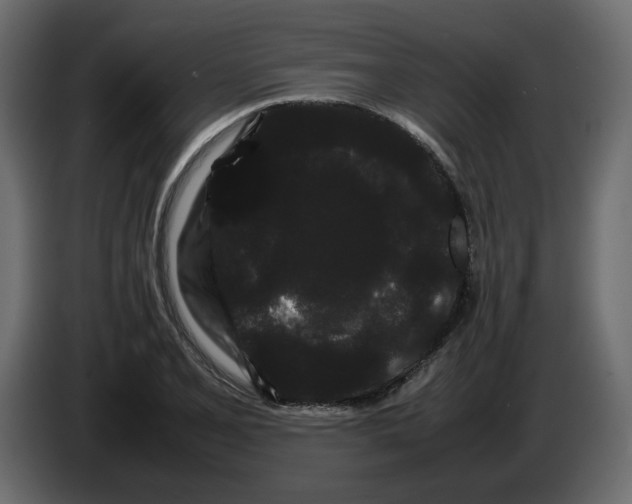 X0000082941077200703020122