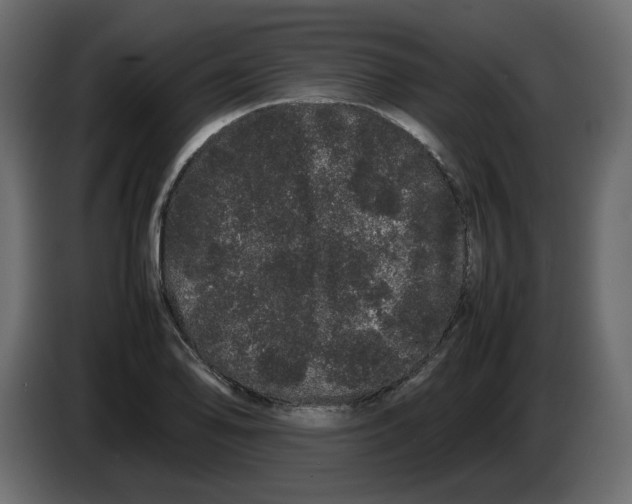 X0000082941078200703020122