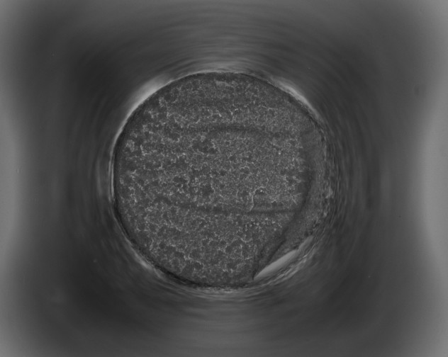 X0000082941079200703020122