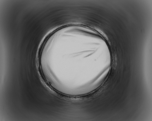 X0000082941080200703020122