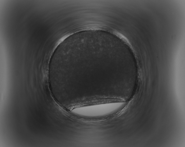 X0000082941081200703020122