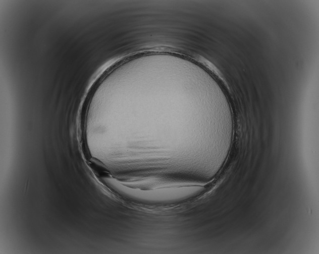 X0000082941082200703020122