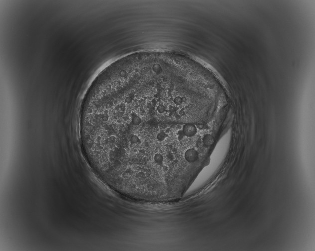 X0000082941083200703020122