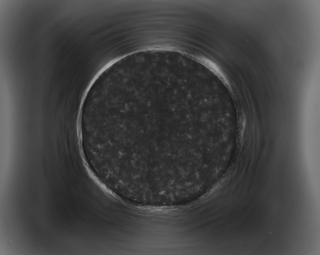 X0000082941084200703020122