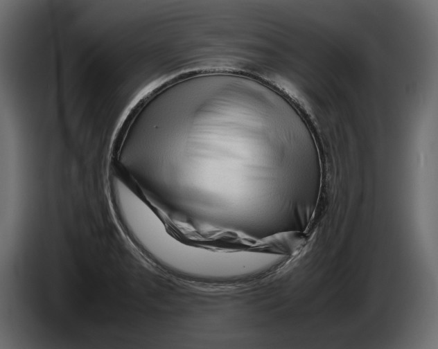 X0000082941085200703020122