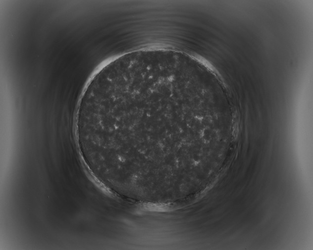 X0000082941086200703020122