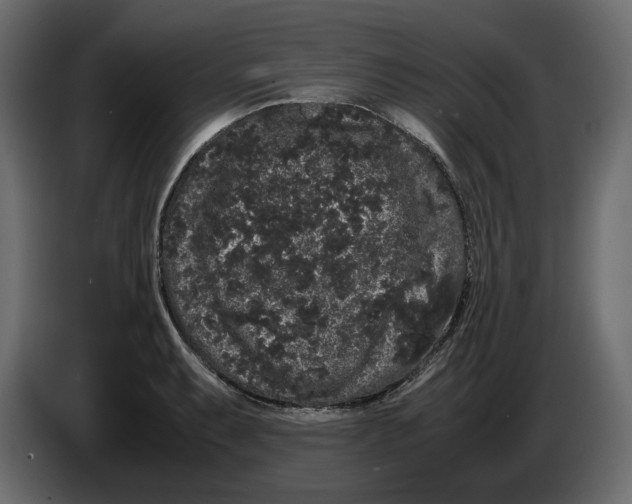 X0000082941087200703020122