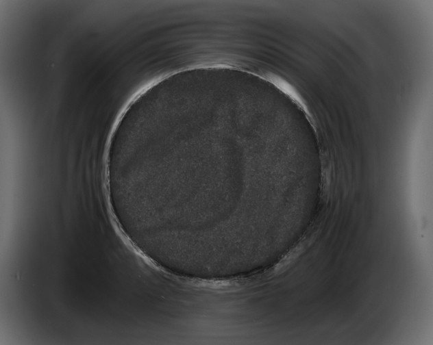 X0000082941088200703020122