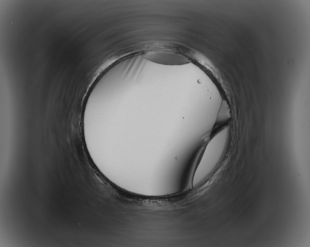 X0000082941089200703020122