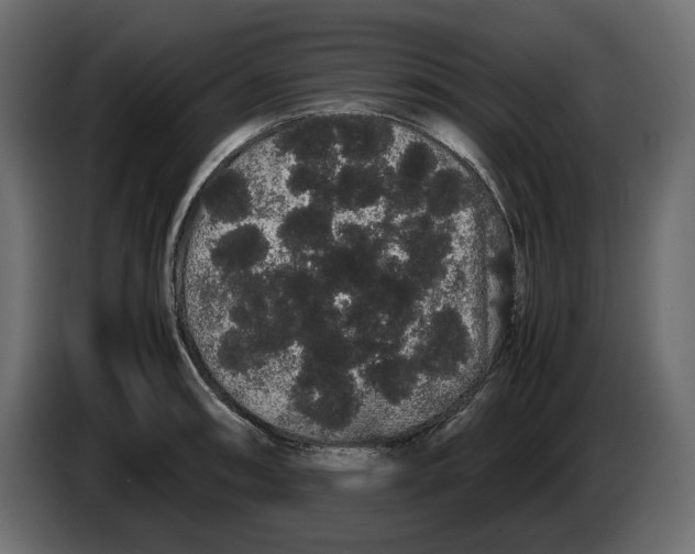 X0000082941090200703020122