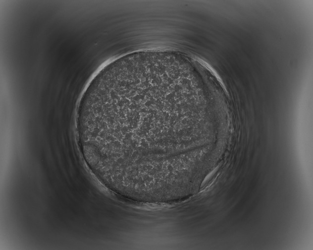 X0000082941091200703020122