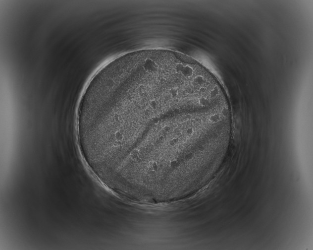 X0000082941096200703020122