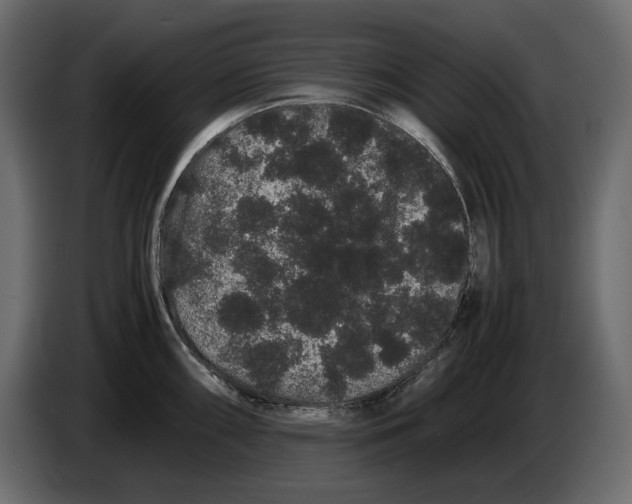 X0000082941098200703020122