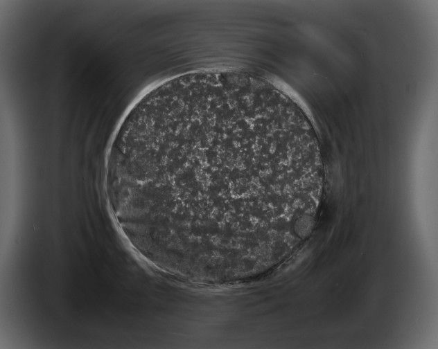 X0000082941099200703020122