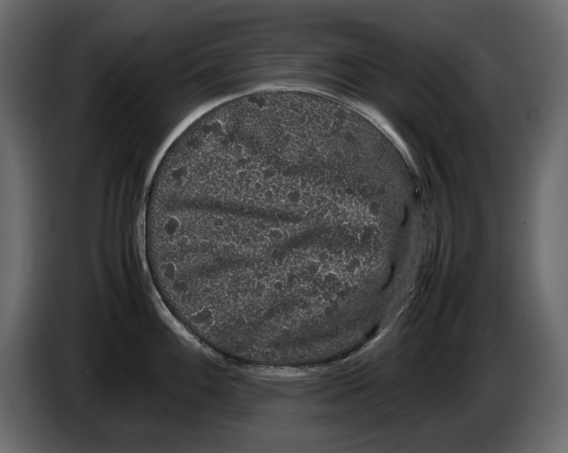 X0000082941100200703020122