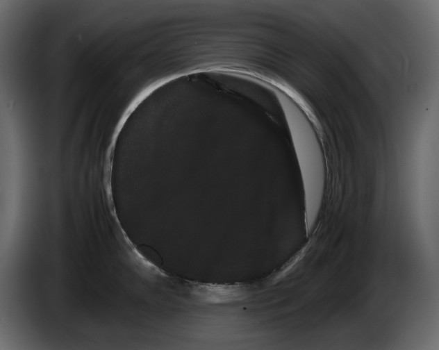 X0000082941102200703020122