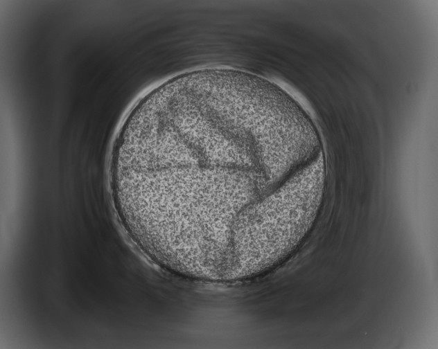 X0000082941104200703020122