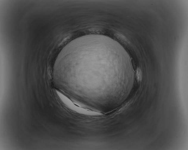 X0000082941107200703020121