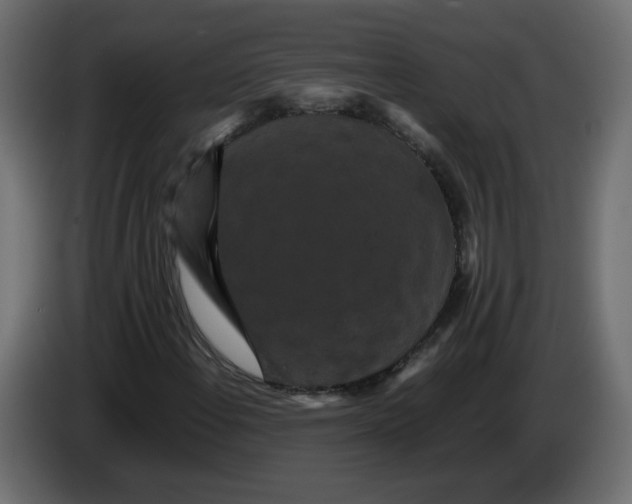 X0000082941108200703020121