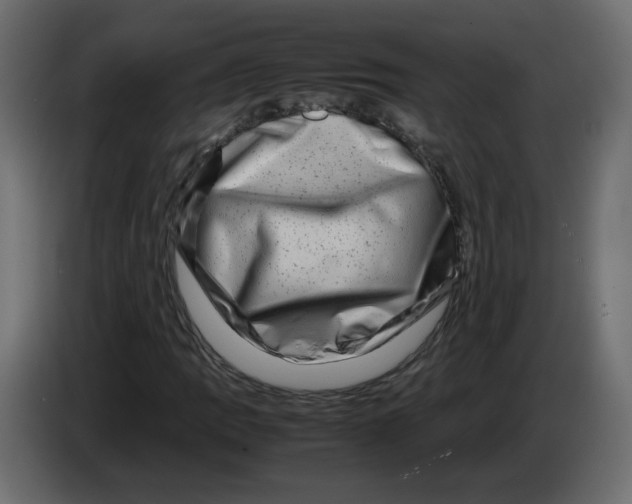 X0000082941109200703020121