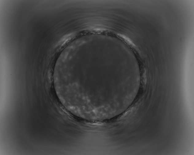 X0000082941110200703020121