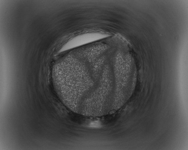 X0000082941111200703020121