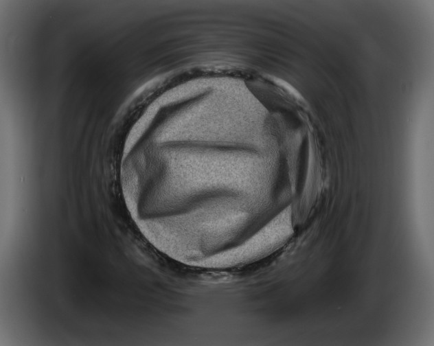 X0000082941112200703020121