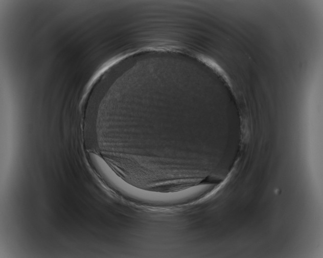 X0000082941114200703020121