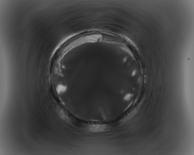 X0000082941117200703020121