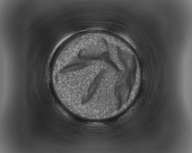 X0000082941119200703020121