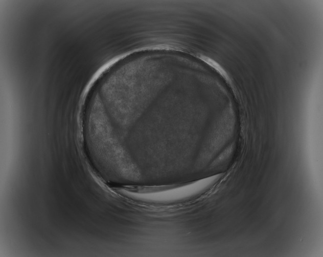 X0000082941120200703020121