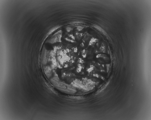 X0000082941121200703020121