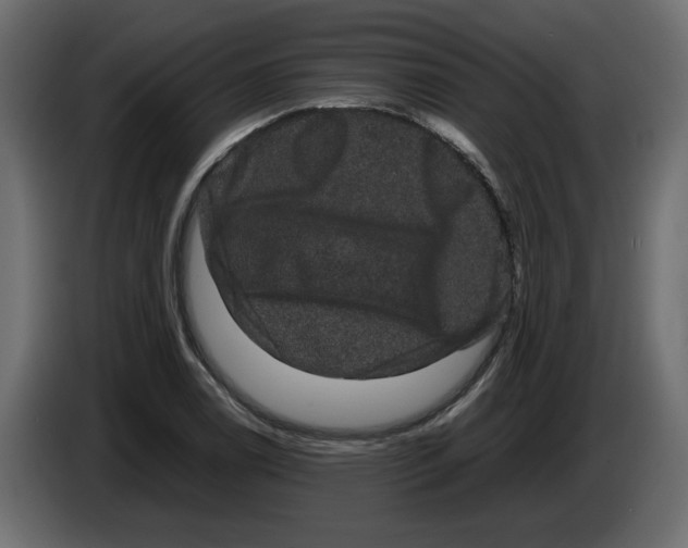 X0000082941122200703020121